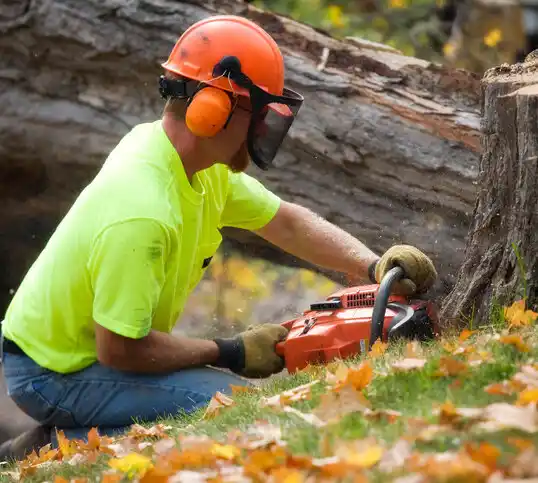 tree services Broadus